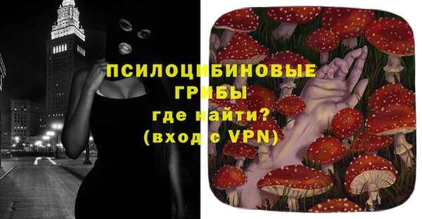 ПСИЛОЦИБИНОВЫЕ ГРИБЫ Ельня
