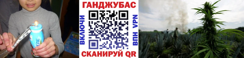 блэк спрут ссылки  Донецк  Бошки Шишки White Widow 