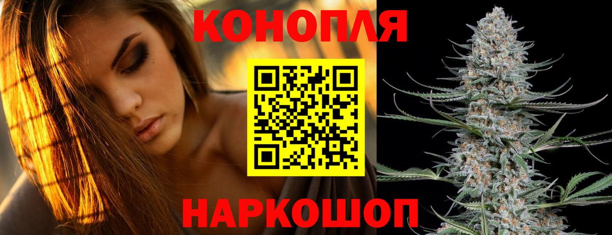 Бошки Шишки планчик Донецк